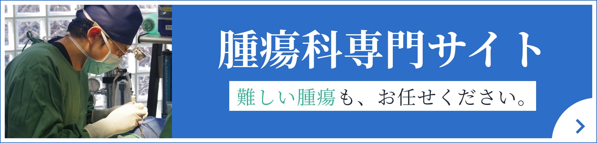 腫瘍科専門サイトへのリンク